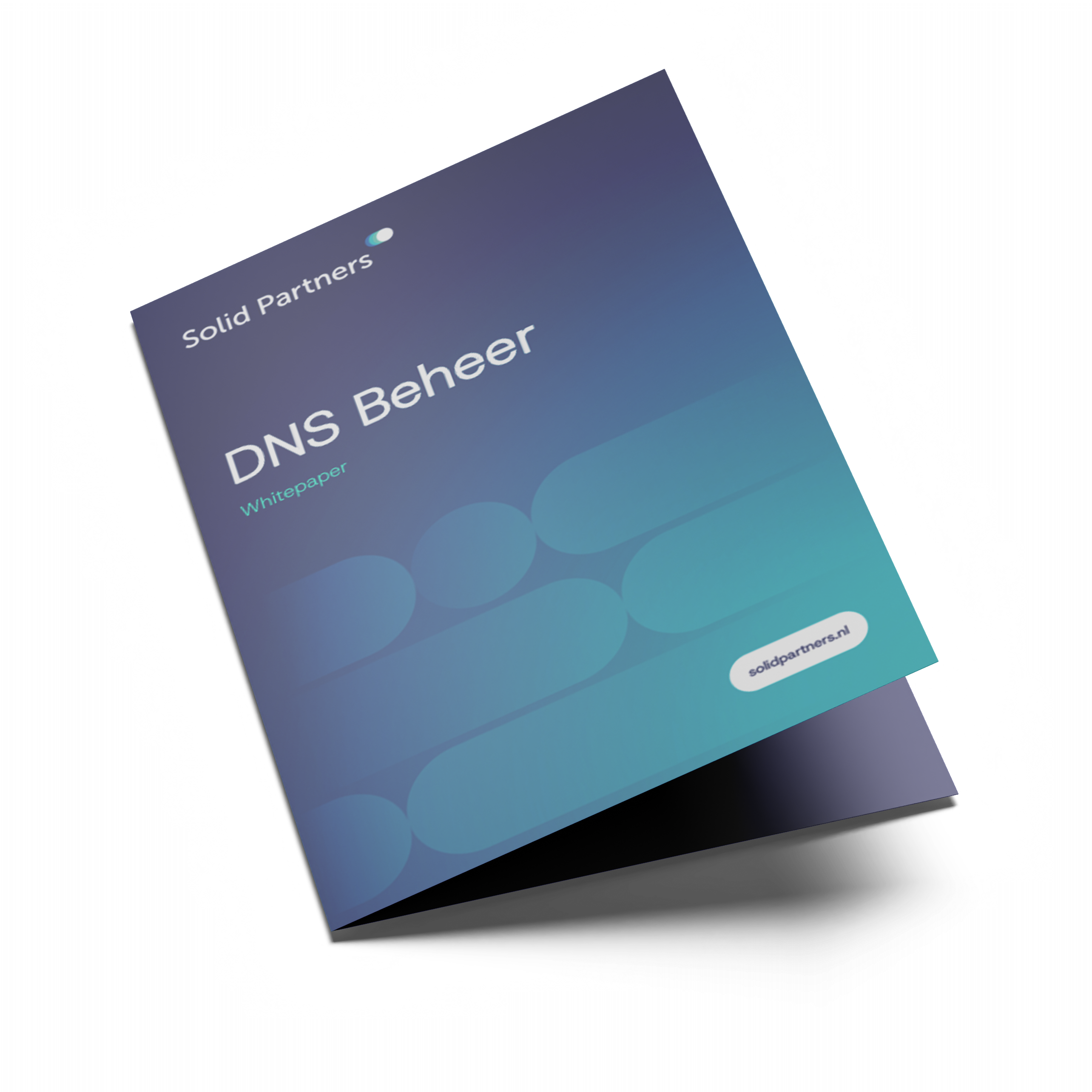 DNS Beheer whitepaper.png